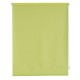 PISTACHIO ADRA ROLLED STORE