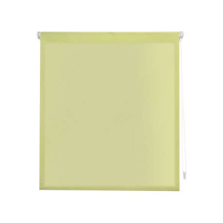 PISTACHIO EASY FIX AURIS ROLLED STORE 